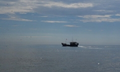 Tìm thấy tàu chìm trên vùng biển Quảng Ngãi, 4 ngư dân vẫn