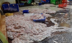 Rùng mình xem tẩy trắng lòng heo bằng hóa chất