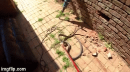 Video: Chủ nhà la hét sợ hãi khi bắt được rắn mamba đen kịch độc dài hơn 2 mét