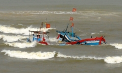 3 tàu cá bị chìm trên biển, 8 thuyền viên mất tích