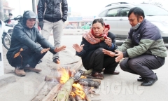 Dự báo thời tiết ngày mai 14/12: Miền Bắc tiếp tục rét đậm, rét hại, miền Trung mưa trên diện rộng