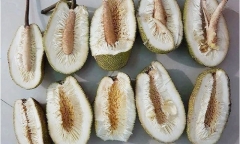 Anh chàng đen đủi mua 5 quả mít: Không mùi, không múi, không hạt, chỉ vẻn vẹn xơ