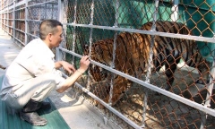Chuyện những người “bện hơi” thú dữ hơn vợ, chồng