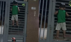 Bị bạn rủ rê, cậu bé 3 tuổi liều lĩnh leo cổng sắt đi chơi