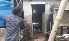 Phát hiện thi thể nữ chủ tiệm thuốc tây trên nền giếng
