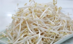 Gợi ý cách chữa ho mất tiếng bằng phương pháp dân gian