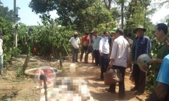 Thái Nguyên: Phát hiện thi thể nam giới đang phân hủy