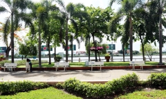 Thành phố Hồ Chí Minh đề xuất mở Chợ phiên và đường âm nhạc