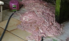 15 tấn nội tạng thối chuẩn bị lên bàn nhậu bị thu giữ