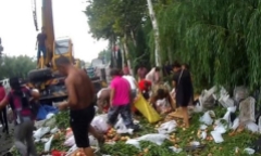 Người dân lao vào 