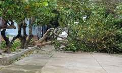 Chiến sĩ, người dân ở Trường Sa an toàn khi bão Tembin 