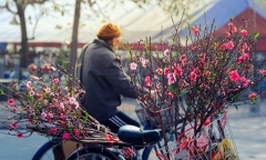 Dự báo thời tiết ngày 15/2: 30 Tết miền Bắc ấm áp, Nam Bộ thuận lợi bắn pháo hoa