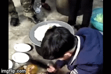 Lần đầu trổ tài chặt gà, chàng rể bị