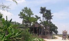 Vụ hỏa hoạn do tự thiêu: Người chồng đã tử vong