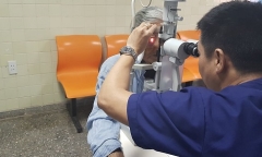 Cụ bà 69 tuổi bị gà mổ mù mắt trong lúc cho ăn