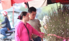 Đào Nhật Tân tưng bừng xuống phố đón Giáng sinh, Tết Dương lịch