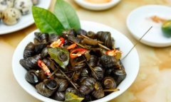 Những sai lầm chết người khi ăn ốc mà nhiều người mắc phải