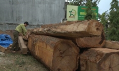 Phát hiện bãi gỗ lớn giấu gần kho doanh nghiệp ở Kon Tum