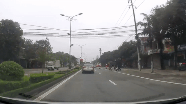 Video: Chó lao qua đường như tên bắn, thanh niên đi xe máy ngã văng thảm khốc