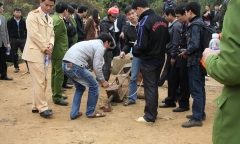 Sập cầu treo khi đưa tang: Nguyên nhân do quá tải?