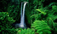 Khám phá quốc gia đón năm mới 2015 sớm nhất và muộn nhất