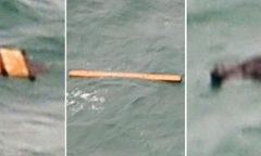 Chuyến bay QZ8501 có thể không phát nổ trước khi rơi