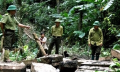 Khởi tố, bắt tạm giam 2 Trạm trưởng bảo vệ rừng