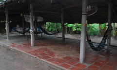 Điều tra vụ người phụ nữ tử vong trong quán nhậu sau tiếng kêu thất thanh