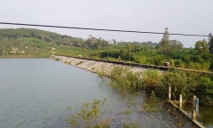 Bà nội lĩnh án 12 năm tù vì đẩy cháu xuống đập nước tử vong