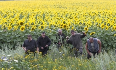 Nhân chứng MH17 kể lại giây phút rơi máy bay kinh hoàng