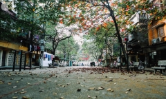 Thời tiết Tết Dương lịch 2019: Miền Nam nắng đẹp, Bắc Bộ mưa rét vì không khí lạnh