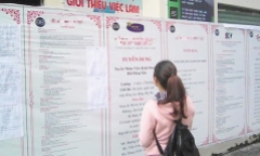 Lại nở rộ lừa đảo “việc nhẹ, lương cao” nhắm vào sinh viên