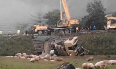Xe tải 