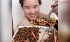 Cô gái trẻ ăn ngon lành cả đống sâu bọ gây sốc