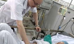 Ba người trong một gia đình nguy kịch do ăn nấm dại
