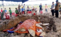 Phát hiện ngôi mộ đá nguyên khối giữa cánh đồng