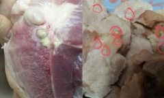Thịt lợn có dấu hiệu này chớ dại mà mua kẻo rước bệnh vào thân