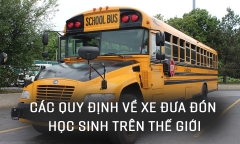 [E] Các quy định về xe đưa đón học sinh trên thế giới: Phương tiện ưu tiên quốc gia 