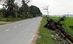 Tài xế gây tai nạn làm 2 người chết, 5 người bị thương trong đêm giao thừa bị khởi tố