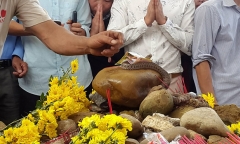 Con rắn xuất hiện trên ngôi mộ vô danh là rắn nước thông thường