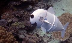 Chú cá robot có thể bơi ở độ sâu 15m mà không bị phát hiện 