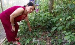 Bé trai sơ sinh bị bỏ rơi trong vườn