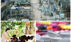 Chỉ đạo, điều hành của Chính phủ, Thủ tướng Chính phủ nổi bật tuần từ 21-25/8