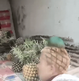 Video: Cắt tóc kiểu trái dứa, nam thanh niên bán hàng 