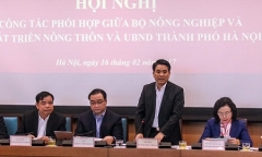 Chủ tịch TP Hà Nội: Đê bê tông an toàn khi mưa bão