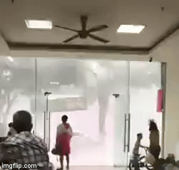 Video: Dông mạnh bất ngờ quật ngã người đàn ông ở sảnh chung cư HH Linh Đàm