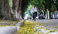 Dự báo thời tiết mới nhất hôm nay 24/8/2019: Hà Nội nắng nóng sau nhiều ngày mưa dông
