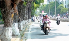 Dự báo thời tiết ngày 30/3: Nam Bộ mưa rào, miền Bắc nắng nóng 31 độ