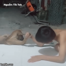 Video: Hài hước màn vật tay có 