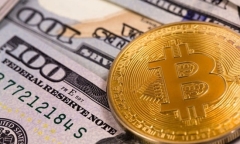 Giá Bitcoin hôm nay 31/1: Tụt thêm 1.300 USD, Bitcoin sắp mất ngưỡng 10.000 USD